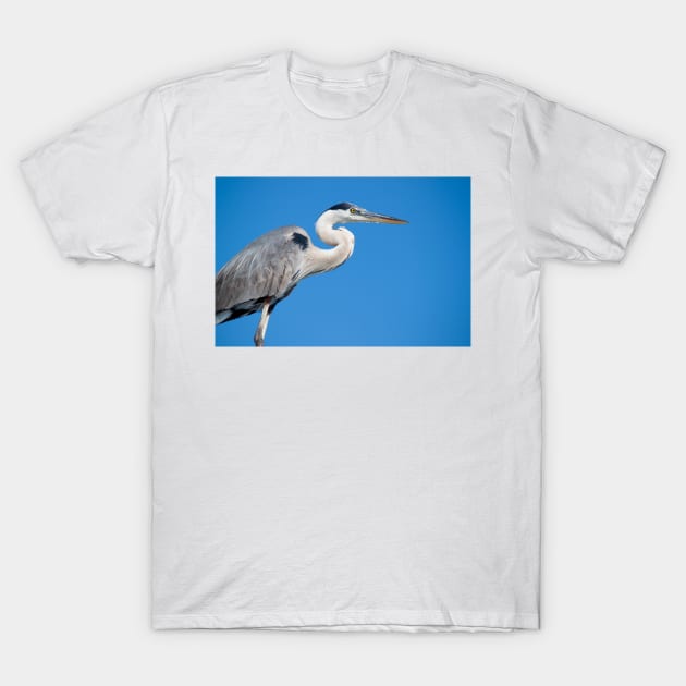 Heron T-Shirt by Jacquelie